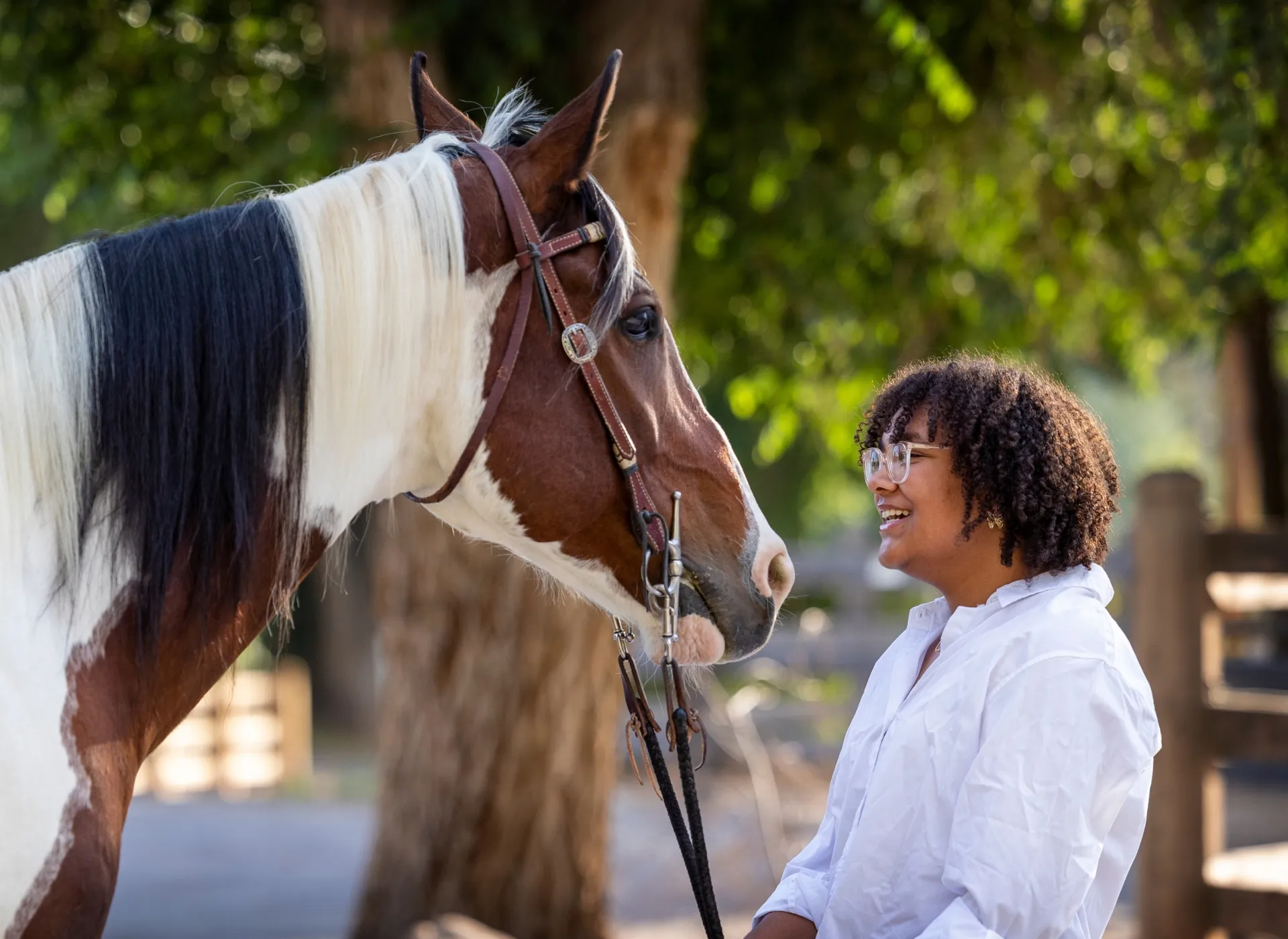 Experiences Bridle Up Hope